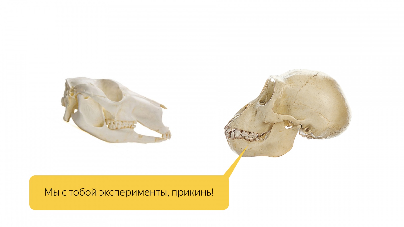 Инфраструктура А-Б-экспериментов в большом Поиске. Доклад Яндекса - 2